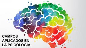 Campos De Aplicacion Psicologia