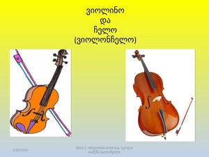 ვიოლინო და ჩელო (მე 2 კლასი)