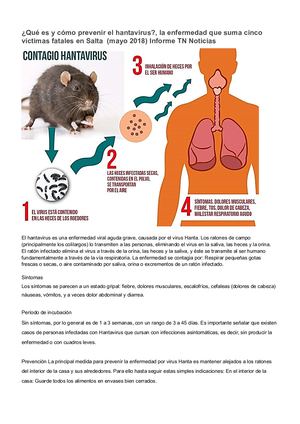 Hantavirus y geografìa