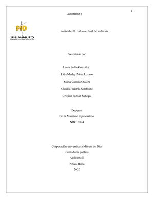 Informe Final De Auditoria