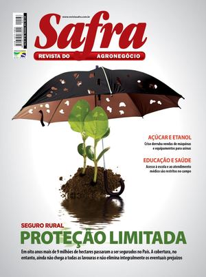 Safra 165