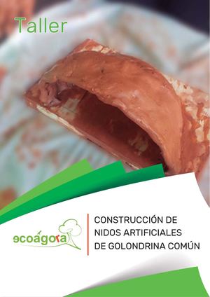 Taller Nidos (3).