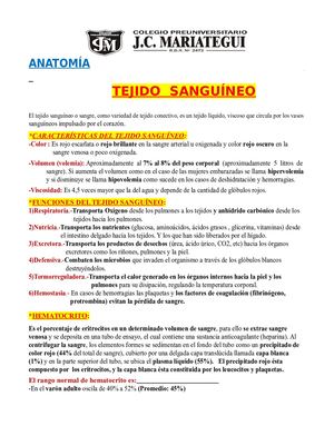 JCM SEMANA 05 TEMA VIRTUAL 06 Histología Tejido Sanguíneo 5to Año JCM