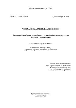 Диссертация Чейрхановой А А