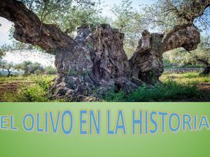 2- el olivo en la historia