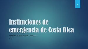Instituciones De Emergencia De Costa Rica Hogar