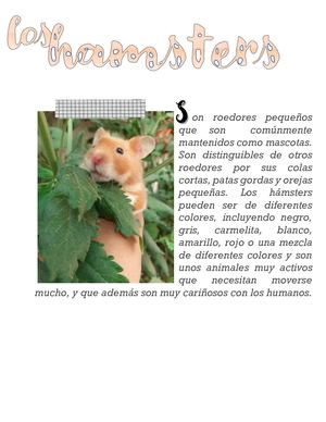 Los Hamsters