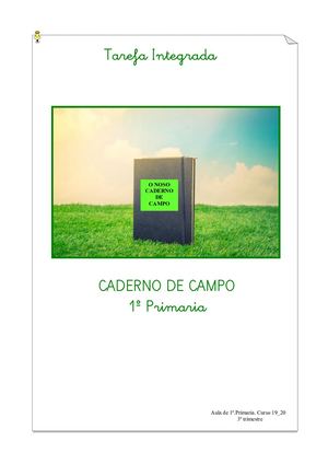 Ti Caderno De Campo 1º