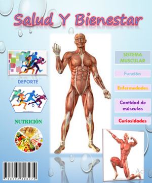 Salud Y Bienestar