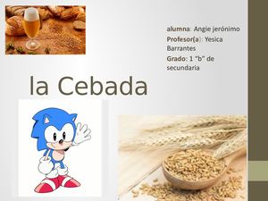 La Cebada Mejorado De Sonic Jajajaja