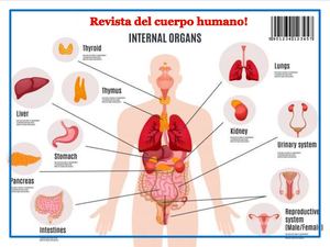 Revista Del Cuerpo Humano Paola Gutierrez