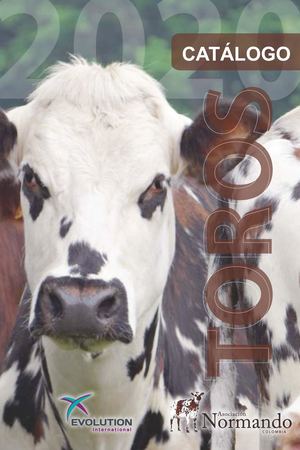 Catalogo Toros Normando II-2020