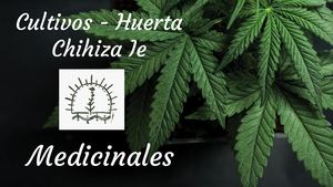 Medicinales (1)