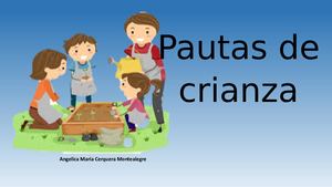 Cartilla Pautas De Crianza