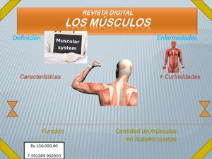 Revista Digital Los músculos
