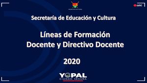 Lineas De Formación Docente