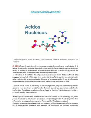 Ácidos Nucleicos