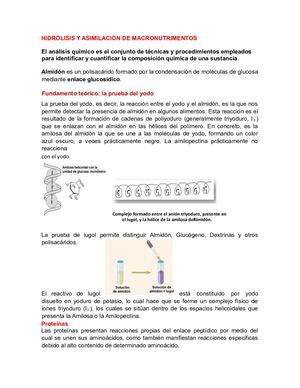 Hidrolisis Y Asimilacion De Macronutrimentos