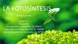 La Fotosíntesis (1)