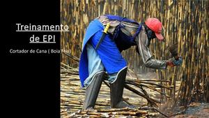 Treinamento De Epi Cortador De Cana