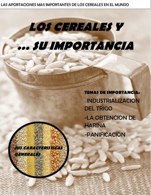 Revista Final