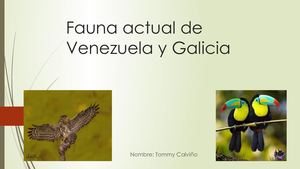 Fauna Actual De Venezuela Y Galicia