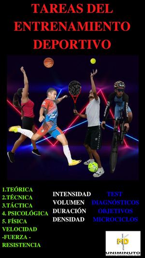 Tareas Del Entrenamiento Deportivo