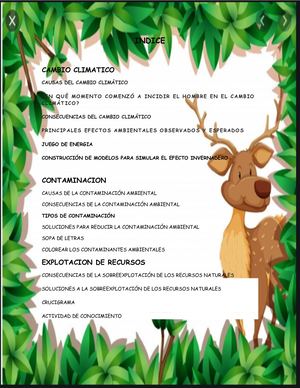 PROBLEMATICA AMBIENTAL