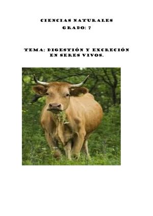 Guia Nutricion Heterotrafa