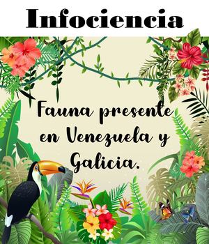 Fauna Presente En Venezuela Y Galicia