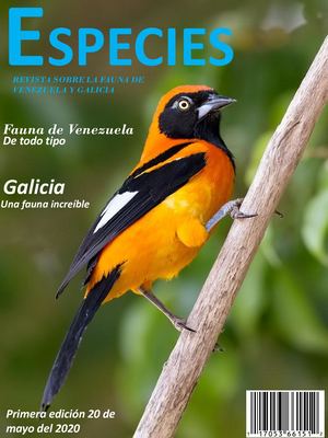 Calameo Revista