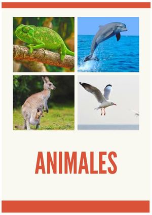Animales