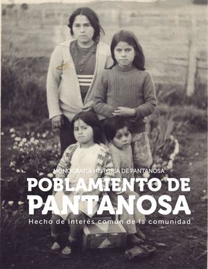 Monografia Poblamiento De Pantanosa