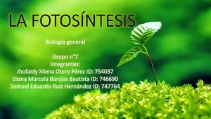La Fotosíntesis (2)