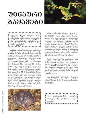 ბაყაყები.