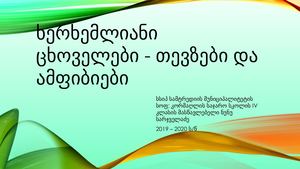 ხერხემლიანი ცხოველები თევზები და ამფიბიები