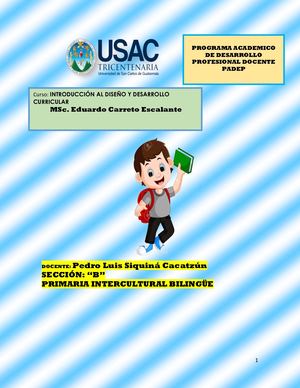 EVIDENCIAS PADEP DISEÑO CURRICULAR