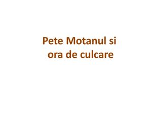 Pete Motanul Si Ora De Culcare Poveste