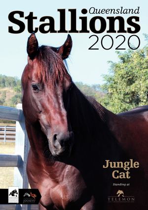 Qld Stallions Directory 2020