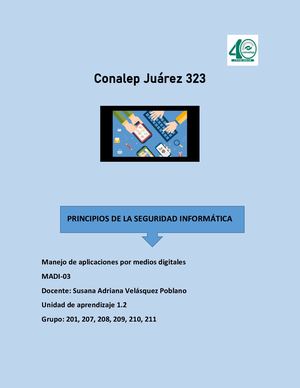 Principios De La Seguridad Informática