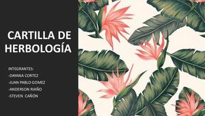 Cartilla De Herbologia Final