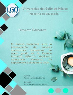 1 Proyecto Educativo