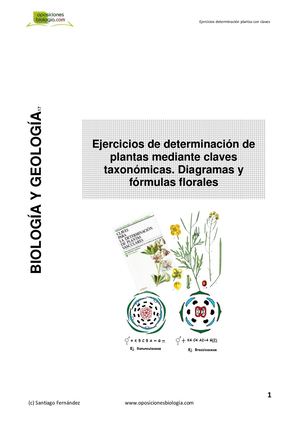 EJERCICIOS DETERMINACIÓN PLANTAS