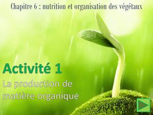 Activité 1