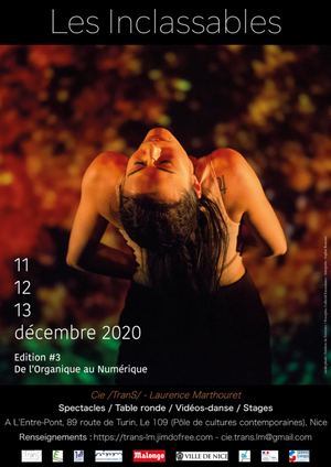 Dossier Artistique Les Inclassables 2020