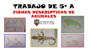 FICHAS DESCRIPTIVAS DE ANIMALES - 5º A