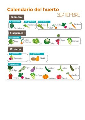 Calaméo - PLANO DEL HUERTO