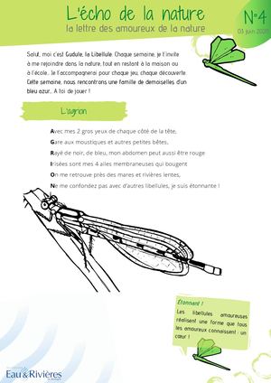 L'écho de la nature n°4 | Agrion