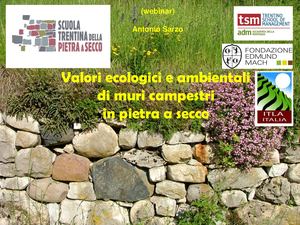 Sarzo3 Valori Ecologici E Ambientali Dei Muri Campestri In Pietra A Secco