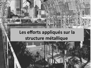 Les Efforts Appliqués Sur La Structure Métallique